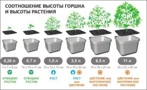 Можно ли сажать растения в металлические ёмкости?