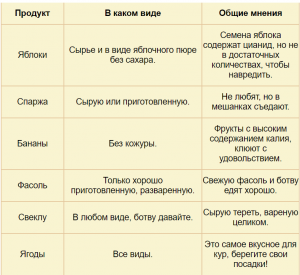 Можно ли курам давать рукколу или нет, почему?