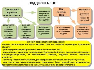 Где и как в Америке разрешено заниматься подсобным личным хозяйством?