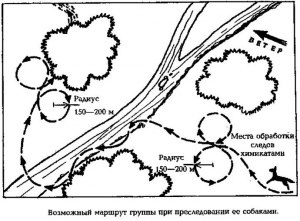 Как сбить со следа собак в лесу?