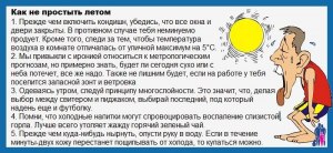 Может ли собака простыть от напольного вентилятора?