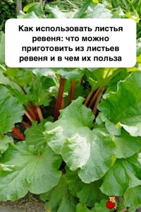 Как использовать листья ревеня для волос?