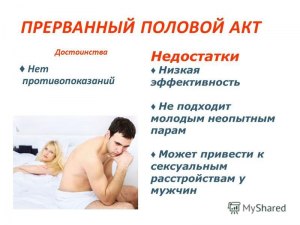 Способны ли мулы совершать половой акт?