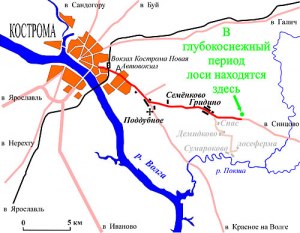 Где находится Лосиная ферма, что известно о ней? Как добраться туда?