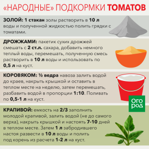 Подкормка свежим коровяком, как, в каких пропорциях делать подкормку?