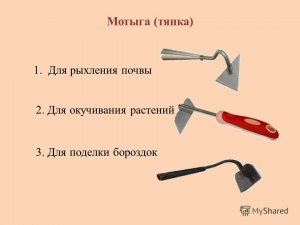 Чем отличается тяпка от мотыги?