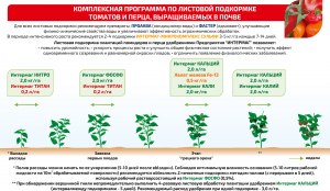 Как определить, что надо полить помидоры в грунте?