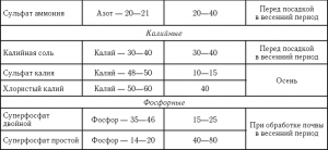 Сульфат аммония. Какая норма внесения в лунку при посадке картофеля?