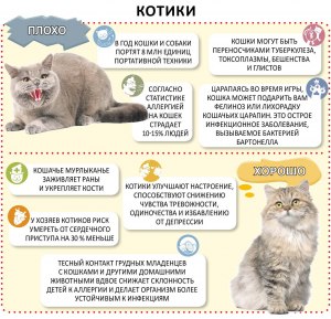 Как приучить котенка защищаться от нежелательных "ласок"?