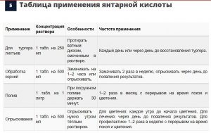 Янтарной кислотой растения поливают под корень или можно и опрыскивать?