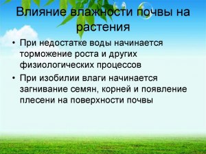 Как влияют осадки на растения, выращиваемые в вашей местности в садах?