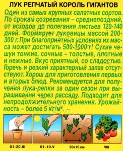 Какой сорт лука выбрать с большим периодом от всходов до полегания пера?