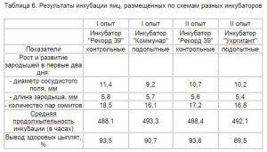 За сколько дней выводятся птенцы цесарок?