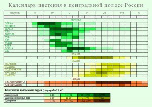 Когда цветет орешник весной в Москве и Подмосковье?