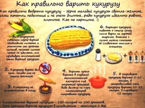 А сколько по времени варить початки кукурузы?