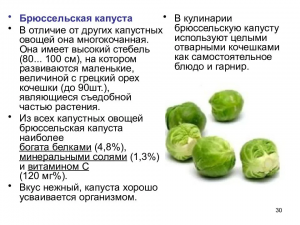 Какие полезные вещества содержатся в брюссельской капусте?