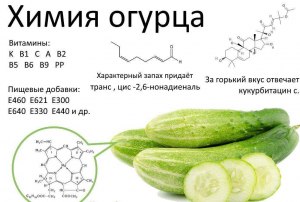 Как правильно называет горечь в огурцах наука?Как называют горький элемент?