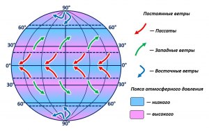 Как сделать заготовку пассаты на зиму?