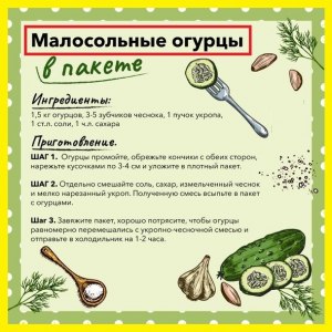 Как солят малосольные огурцы в пакете, какой рецепт?