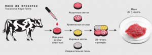 Из чего за рубежом производят искусственное мясо?