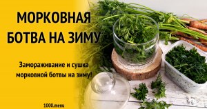 Как сделать ферментированный чай из морковной ботвы?