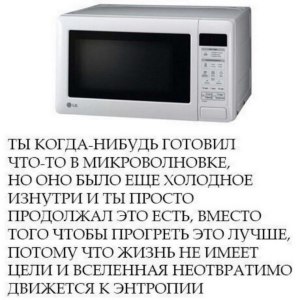 Вы согласны с мнением эксперта яндекс маркета про микроволновку? Почему?