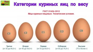 Как определяют кошерность куриных яиц?