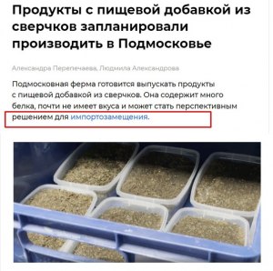 Будете ли покупать сверчковую муку и продукты из нее и почему?