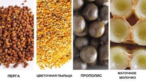 Чем отличается пыльца пчелиная от прополиса?