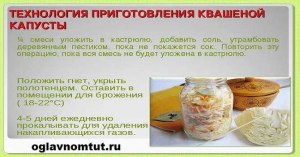 Чем отличается капуста: квашеная обычным способом и с помощью закваски?