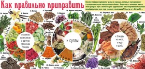 Какие специи, травы подойдут к тушеной с овощами дикой утке?