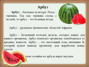 Почему некоторые люди не предпочитают есть сезонные овощи: арбузы и дыни?