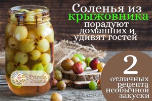 Соленый крыжовник на зиму: как засолить/квасить крыжовник?