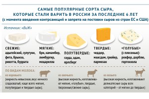 Какой вид сыра самый качественный в Вашем регионе РФ?