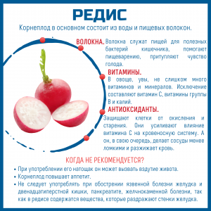 Почему редис июньский нежнее, чем более поздний?