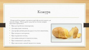 Чем полезна и кому кожура от картошки?