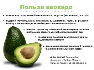 Из каких частей авокадо делается 100%-ое масло авокадо?Чем опасно масло?