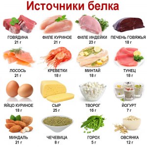 В каких дешевых продуктах кроме мяса и яиц есть белки?