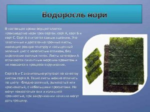 Какими черноморскими водорослями или растениями можно заменить нори в суши?