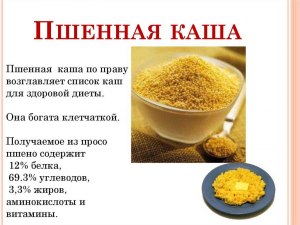 На сколько полезна пшеничная каша для человека?