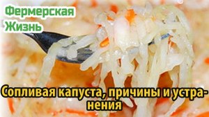 Почему квашеная капуста стала сопливая как исправить?