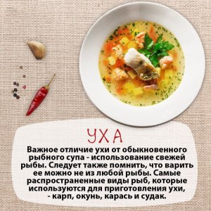 Уха и суп рыбный, как отличить неспециалисту?