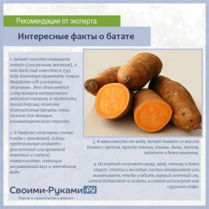 В какой пропорции смешать батат с картофелем?Как лучше?Как изменится вкус?