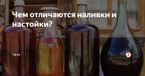 Какие наливки существуют, в чем их особенности?