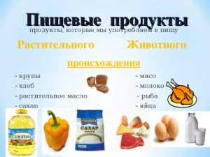 В каком продукте растительного происхождения больше всего сахара?