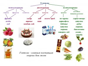 Что это за пищевые волокна - полисахариды?