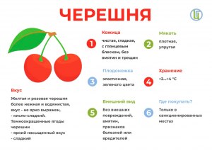 Какие продукты и напитки можно держать в черешневой бочке?