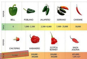 Сколько кг острого перца в ведре? Сколько кг острого перца в ящике?