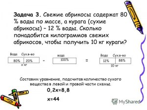 Был ли в 50-х годах в СССР рецепт котлет с добавлением кабачка?