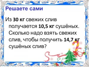 Сколько слив нужно для получения 1 кг вяленого, сушеного чернослива?